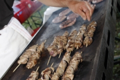 090823_romankrapf_9303