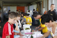090823_romankrapf_9305