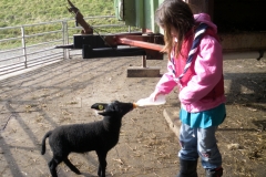 Jana mit Babyschaf