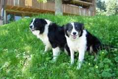 Kira und Lucky